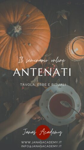 Antenati: tavola, erbe, rituali